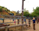 Coboy's corral