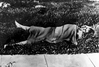Elizabeth Short's body Elizabeth Short's body